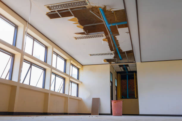 Best Ceiling water damage repair  in Hicksville, OH