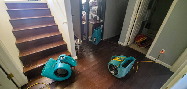 Best Flooded house restoration  in Hicksville, OH