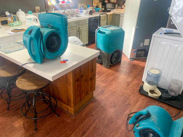Best Emergency water damage restoration  in Hicksville, OH
