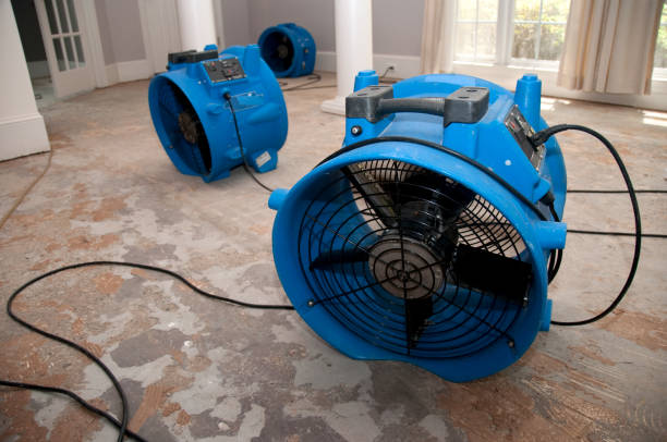Best Local water damage restoration  in Hicksville, OH