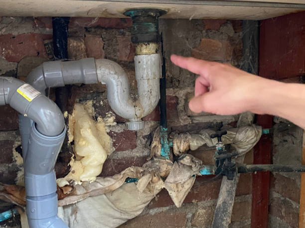 Best Mold removal after water damage  in Hicksville, OH