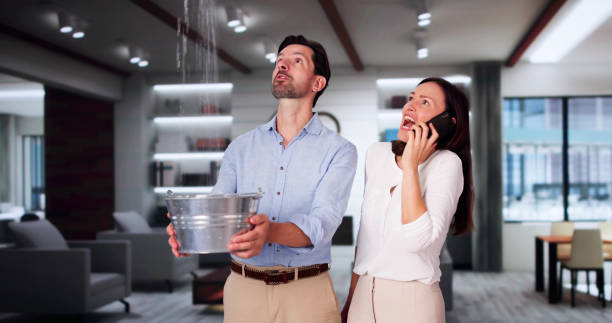 Best 24/7 water damage repair  in Hicksville, OH